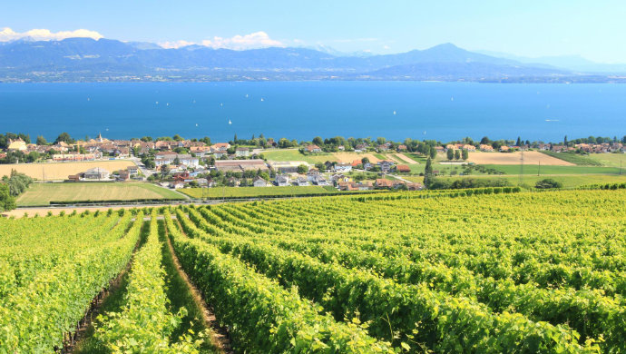 Lully real estate by Maisons du Leman